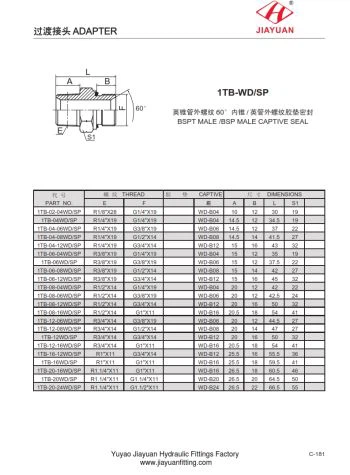 BSPT erkak BSPP E armatura