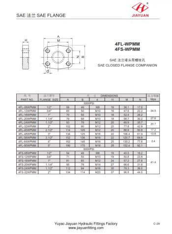 SAE Blind Flange O-ring Head