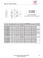 SAE Blind Flange O-ring Head